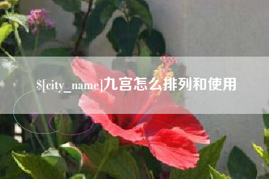 广水九宫怎么排列和使用