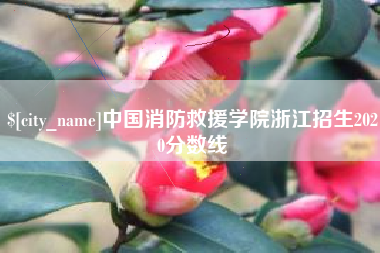 广水中国消防救援学院浙江招生2020分数线