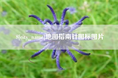 广水地图指南针图标图片