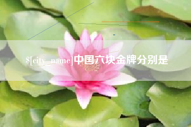 广水中国六块金牌分别是