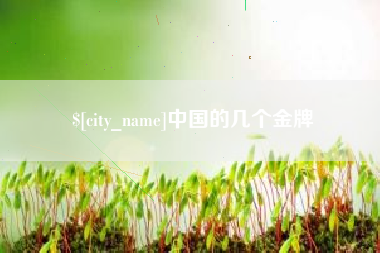 广水中国的几个金牌