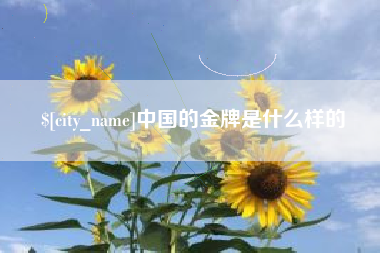 广水中国的金牌是什么样的