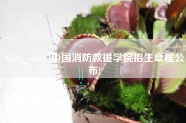 广水中国消防救援学院招生章程公布!