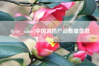 广水中国消防产品质量信息