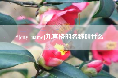 广水九宫格的名称叫什么