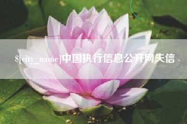 广水中国执行信息公开网失信