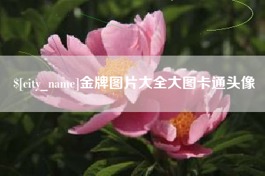 广水金牌图片大全大图卡通头像