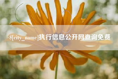 广水执行信息公开网查询免费