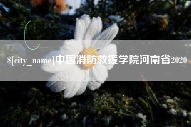 广水中国消防救援学院河南省2020